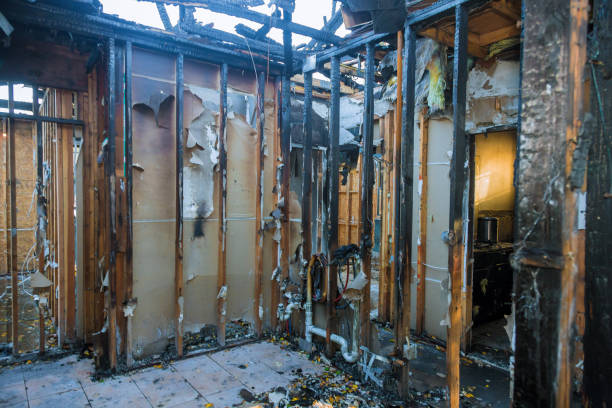 Professional Fire Damage Removal technician working in Lake Dallas, TX
