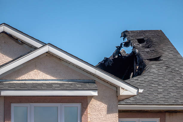 Top rated local Fire Damage Removal specialists in Lake Dallas, TX